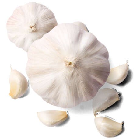Ajo
