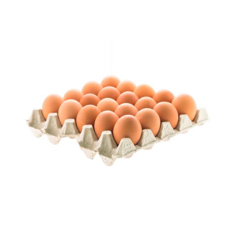 Huevos