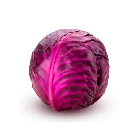 Repollo