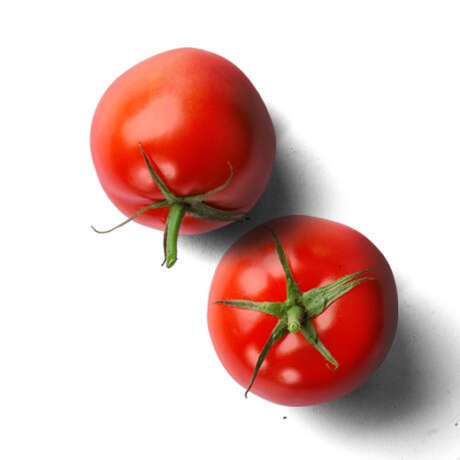 Tomate chonto
